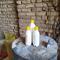 شیراسب والاغ