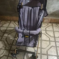 کالسکه عصایی