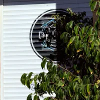 استخدام نیروی کافه