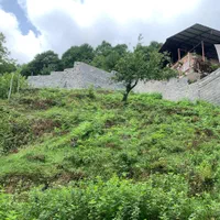 زمین با کاربری مسکونی ۲۳۲ متر ، روستا کنیج کلا|فروش زمین و ملک کلنگی|زیرآب, |دیوار