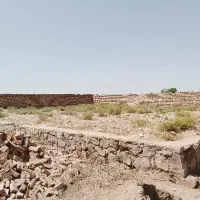 زمین