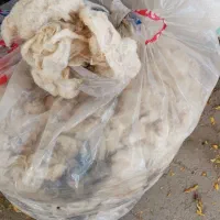 پشم گوسفندی