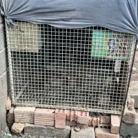 قفس پرنده کبوتر