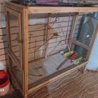 قفس بزرگ برای انواع پرنده