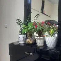کنسول و آیینه و ویترین طبقاتی
