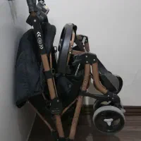 کالسکه دلیجان