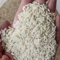 برنج محلی