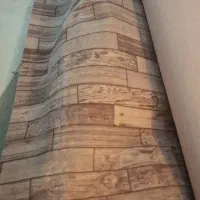 موکت ۱۲متری یک جفت