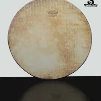 فروش ساز با ارسال فوری به سراسر کشور / ضمانت کالا