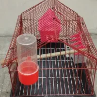 قفس|لوازم جانبی حیوانات|تهران, آذری|دیوار