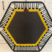 ترامپولین مارک زوک