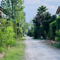 فلت همکف فضای سر سبز مشجر|فروش خانه و ویلا|تهران, تهرانپارس شرقی|دیوار