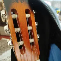 گیتار نو نو