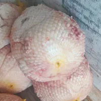 دنبه سفیدوتمیزمال میشه