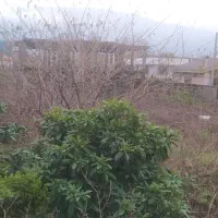 فروش زمین
