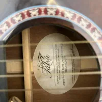 گیتار گلدن آرنا cw|گیتار، بیس، امپلیفایر|تهران, قبا|دیوار