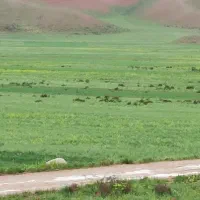 فروش سالن  حاشیه جاده اصلی  پنجتن وطبرسی|فروش دفتر صنعتی، کشاورزی، تجاری|مشهد, شترک|دیوار