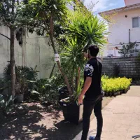 یوکا جعبه ۶۰