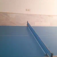 میز پینگ پونگ