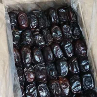 خرما|عمدهفروشی|آرمرده, |دیوار