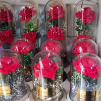گل مخمل|صنایع دستی و سایر لوازم تزئینی|تهران, بهداشت|دیوار