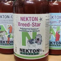 طوطی سهره مرغ عشق فنچ