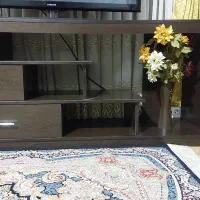 زیر تلویزیونی