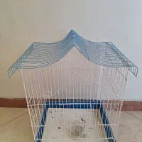 قفس پرندگان