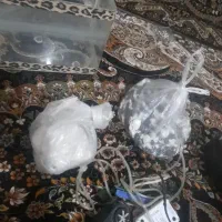 آکواریوم شیشه خم با لوازم|ماهی|اقبالیه, |دیوار