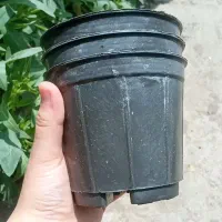 گلدون پلاستیکی مشکی