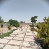 فروش باغ ویلایی ۱۰۰۰ متری گورک|فروش خانه و ویلا|بوشهر, |دیوار