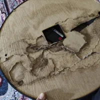 سمپاشی سوسک ساس موریانه زدایی با ضمانت نامه