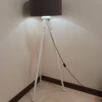آباژور ایستاده