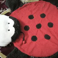 پادری بچه گانه