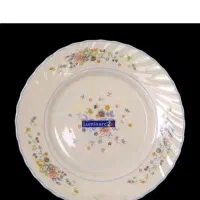 فروش بشقاب آرکوپال ویکتوریا لومینارک اصل فرانسه