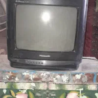 تلوزیون