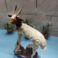 مجسمه|مجسمه، تندیس، ماکت|یاسوج, |دیوار