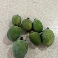 فوجی ارگانیک