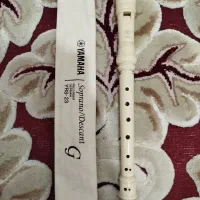 فلوت ریکوردر یاماها|سازهای بادی|رضویه, |دیوار