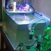 آکواریوم|ماهی|تهران, زنجان جنوبی|دیوار