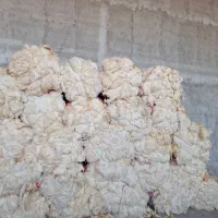 پشم فروشی|رختخواب، بالش، پتو|تبریز, |دیوار