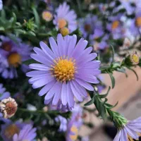 نیاز به سرمایه فوری