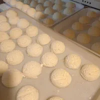تولید کشک گاو خالص