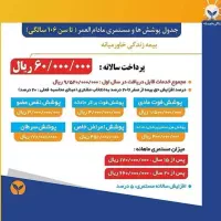 صدور انواع بیمه نامه های شما کوتاه ترین زمان ممکن|خدمات مالی، حسابداری، بیمه|بندر کنگان, |دیوار