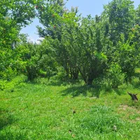 7 هزار متر مناسب ساخت شهرک ویلایی|فروش زمین و ملک کلنگی|لاهیجان, آهندان|دیوار