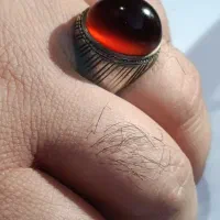 انگشتر سرخ کلاهدار