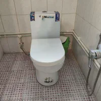 توالت فرنگی