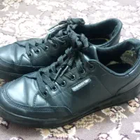 کفش|کیف، کفش، کمربند|سبزوار, مدرس|دیوار