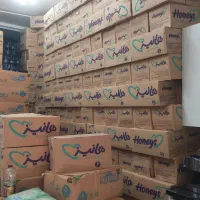 کارتنی مای بیبی۴ پلاس،مولفیکس،ببم،ایزی چسبی،شورتی