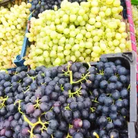 انگور سیاه کیلو80